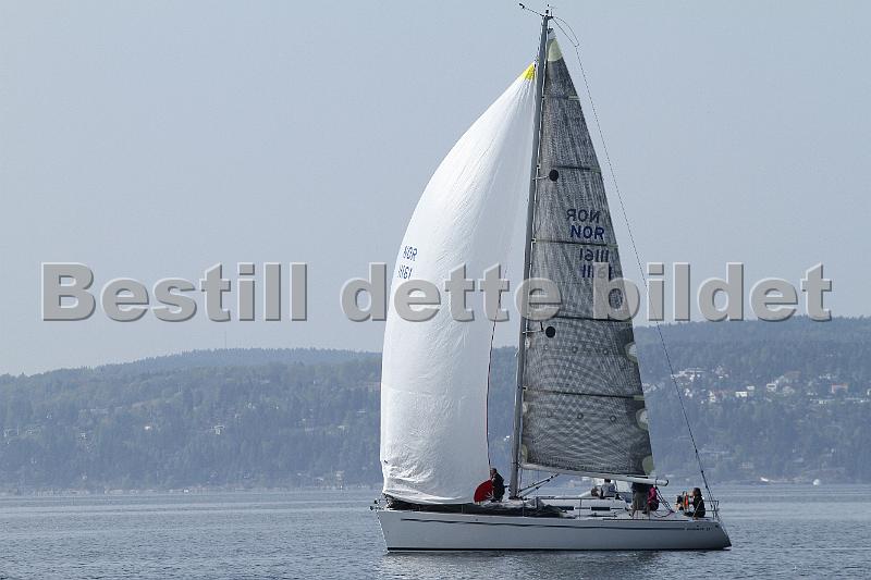 NOR11161_4.jpg