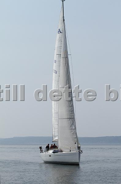 NOR12538_3.jpg