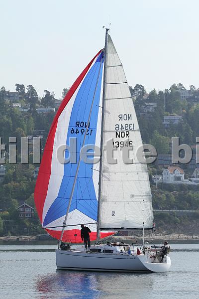 NOR13946_4.jpg