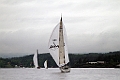 SWE49_1