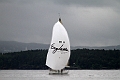SWE49_2