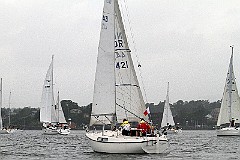 NOR4421_1