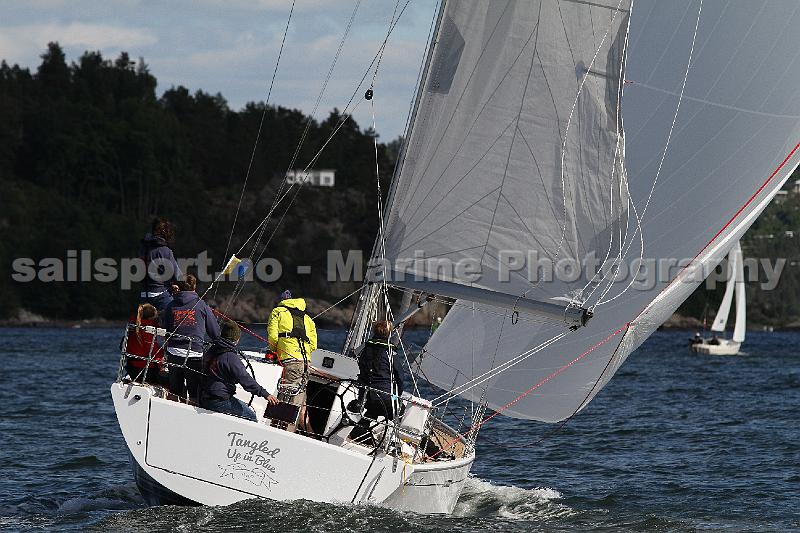NOR15566_4.JPG