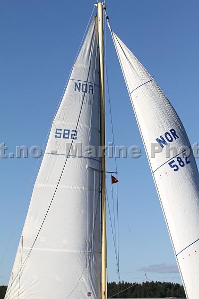 IMG_4235.jpg