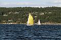 IMG_4161