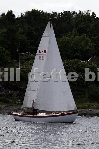 L55_1.JPG