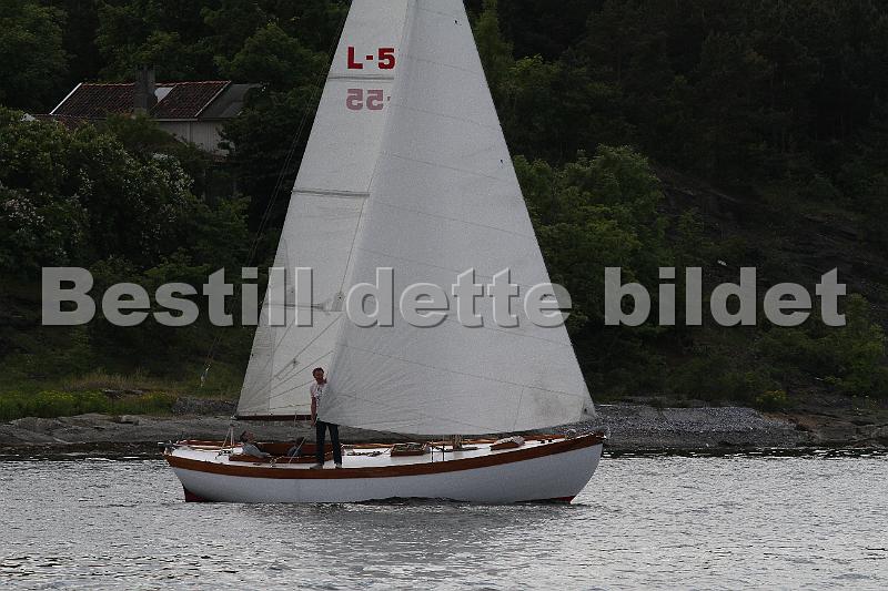 L55_2.JPG