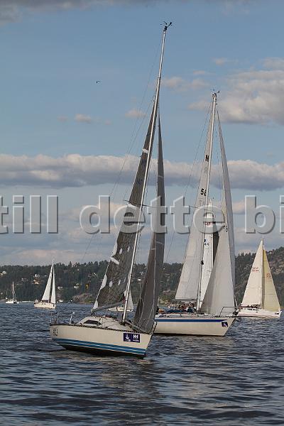 NOR147_5.JPG