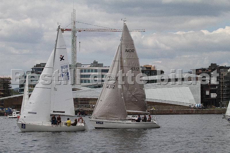 NOR4312_1.JPG