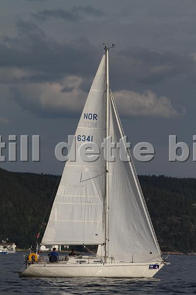 NOR6341_1.JPG
