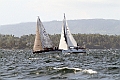 NOR11579_1