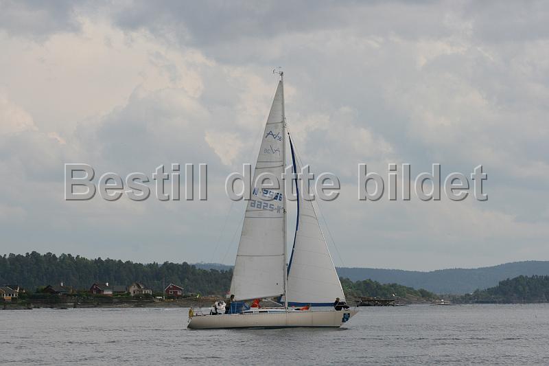 N2566_1.jpg