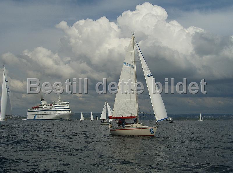 N3881_2.jpg