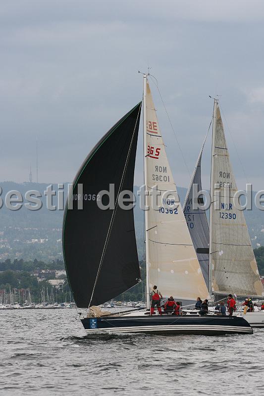 NOR10362_4.jpg