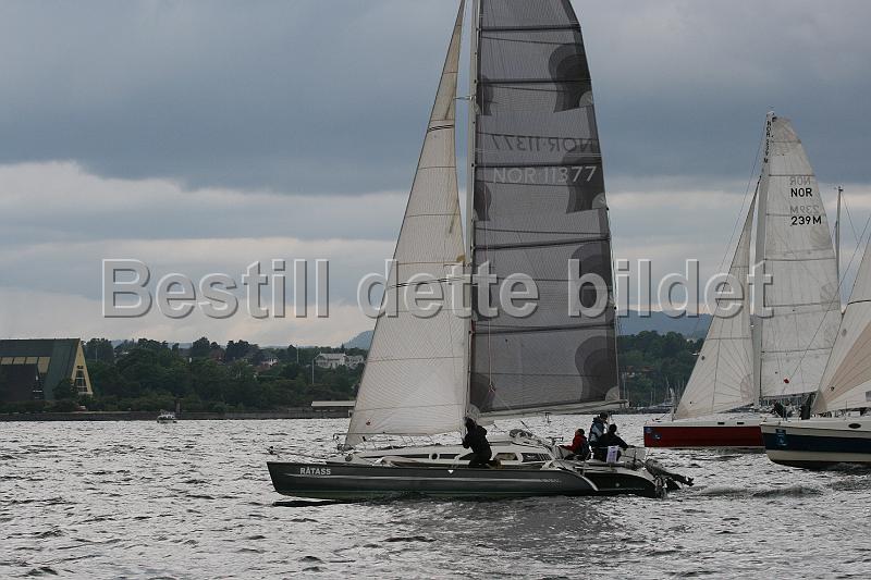 NOR11377_2.jpg