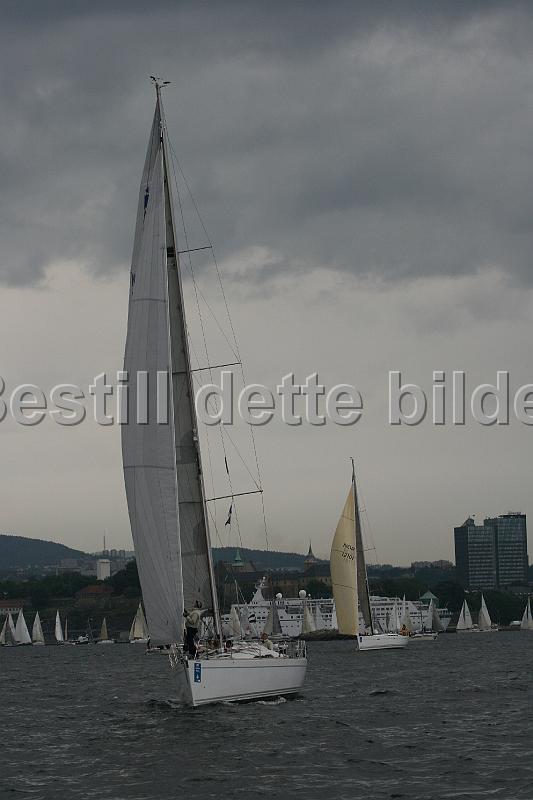 NOR12310_4.jpg