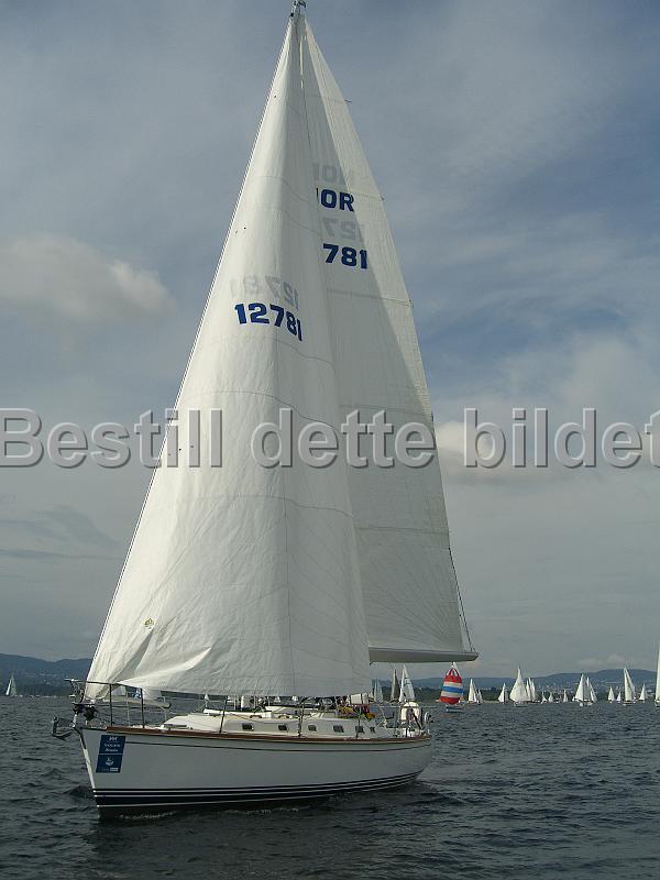 NOR12781_2.jpg