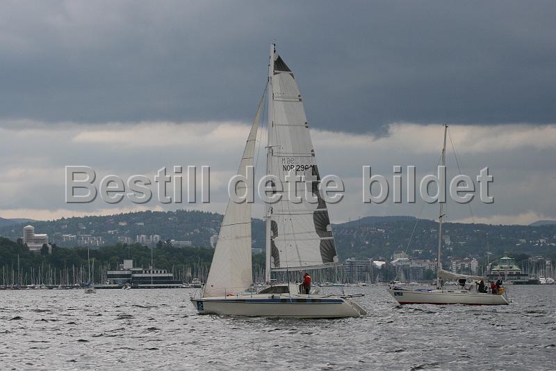 NOR296M_1.jpg