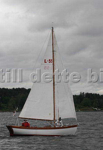 L55_2.jpg
