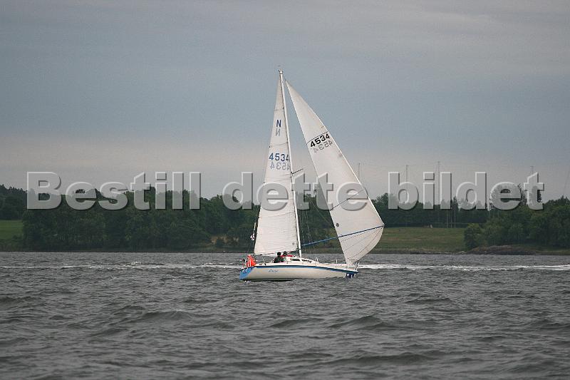 N4534.jpg