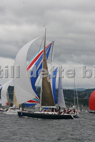 NOR10145_2.jpg
