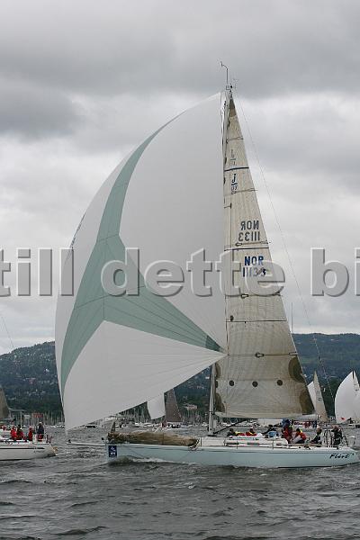 NOR11133_3.jpg