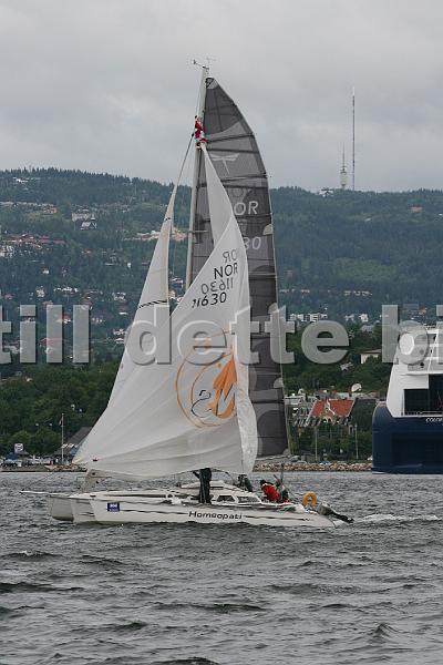 NOR11630.jpg