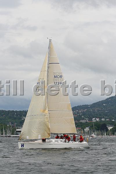 NOR12390.jpg