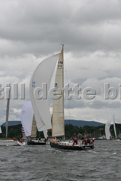 NOR12510_3.jpg