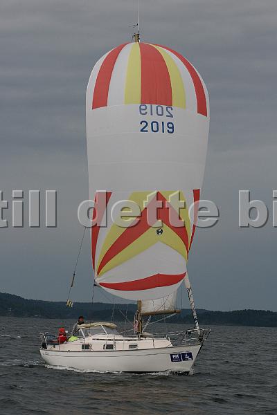 NOR2019_3.jpg