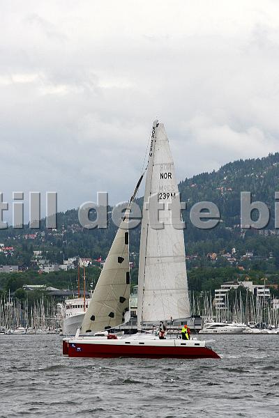 NOR239M.jpg