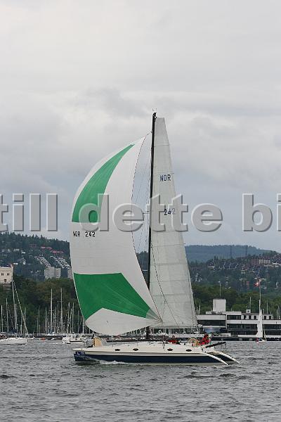 NOR242.jpg