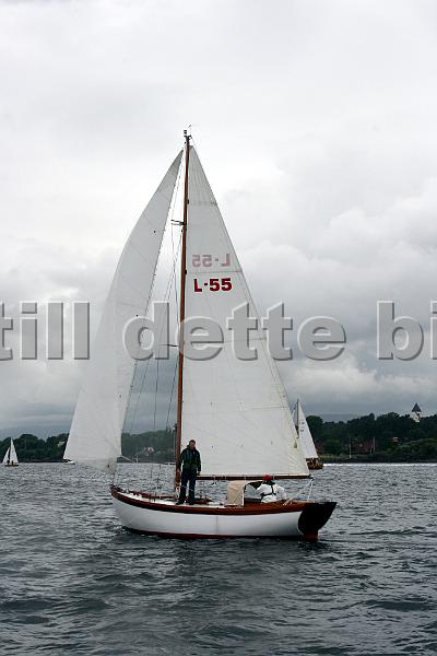 L55_1.jpg