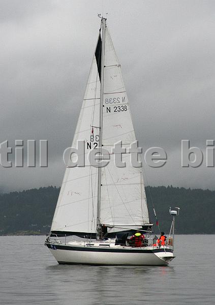 N2338_1.jpg