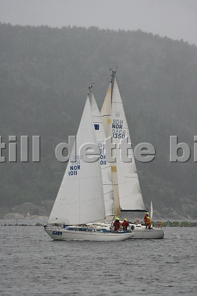 NOR1011_1.jpg