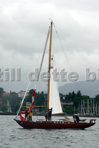 NOR10656_2.jpg