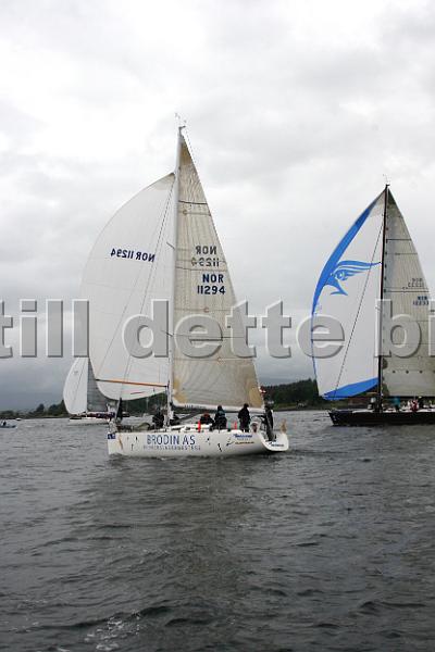 NOR11294_1.jpg
