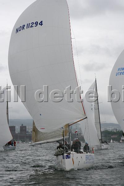 NOR11294_3.jpg