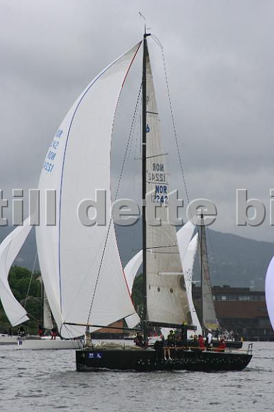 NOR12242_1.jpg