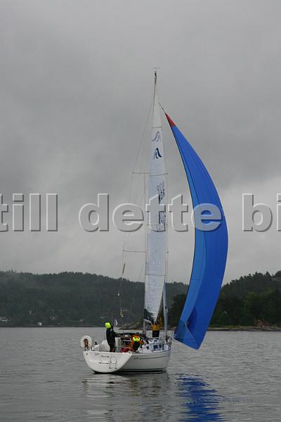 NOR12347_1.jpg