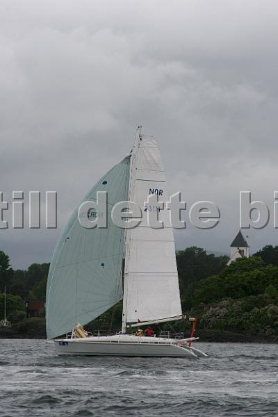 NOR231M_1.jpg