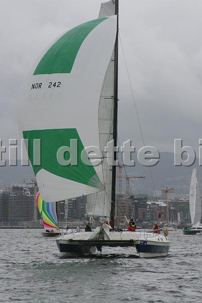 NOR242_1.jpg