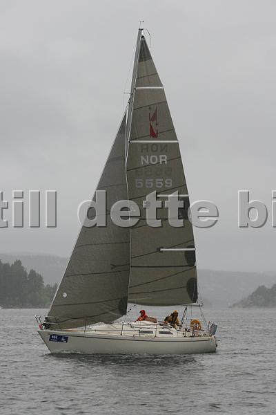 NOR5559_1.jpg