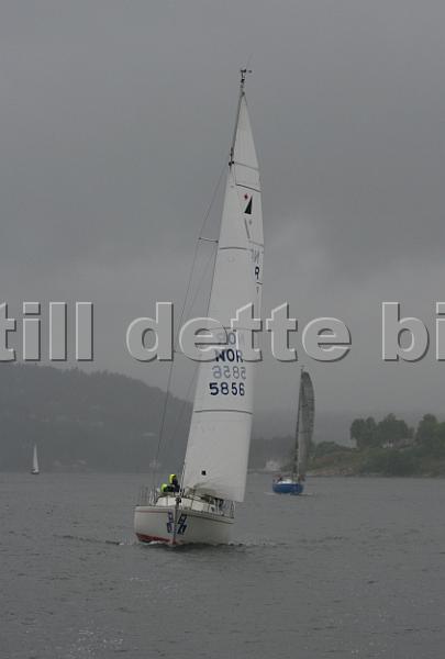 NOR5856_1.jpg