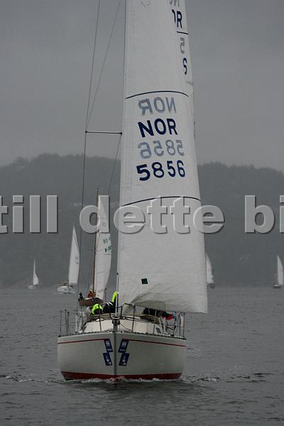 NOR5856_2.jpg