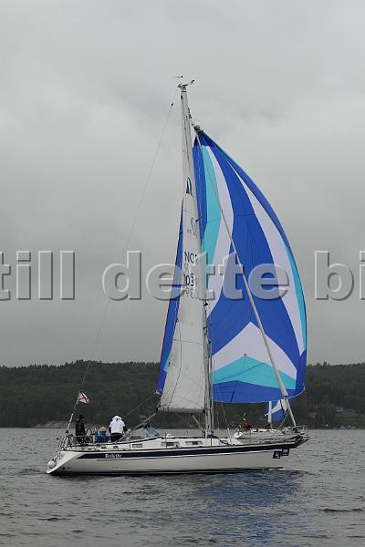 NOR10391_4.jpg
