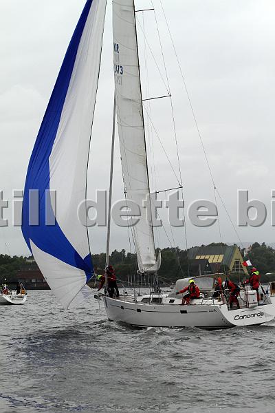 NOR12473_3.jpg