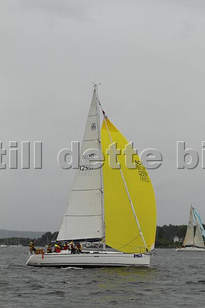 NOR12551_2.jpg