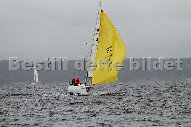 NOR13679_2.jpg