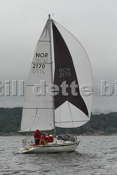 NOR2170_3.jpg